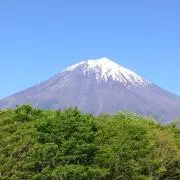 マイケルloveの画像