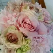 ♥くまとら♥発送中止中の画像