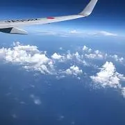 あんこの画像