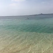 かの画像