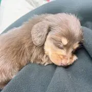 むぎ
