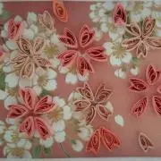 sheevaの画像