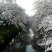 Mocco★の画像