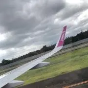 たけるの画像
