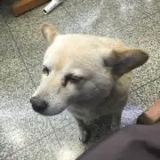 Yunの画像