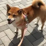 結衣ママ(^^)