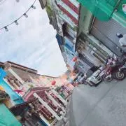 まきの画像