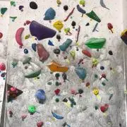 Wakamiの画像