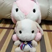 ミルクティー　※プロフ必読の画像