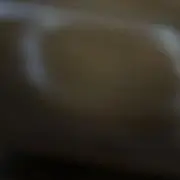 サンゴ
