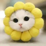 アイスクリームの画像