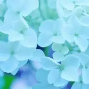 yuko125の画像