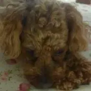 くうが