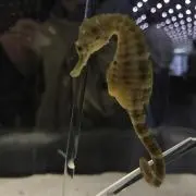 xyzの画像