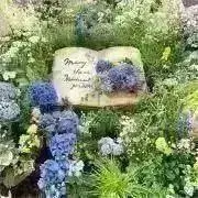 garden*の画像