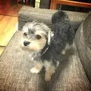 まるこ