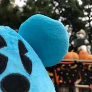 nn＊プロフ確認お願いします!の画像