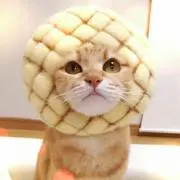 チョココス♪