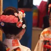 みどりの画像