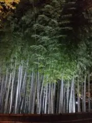 なんなん