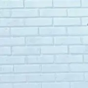 くまの画像