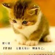 ヒロ