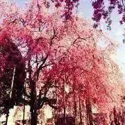 rikko✨即購入•おまとめ大歓迎✨️の画像