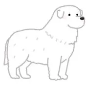 みの画像