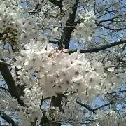 April