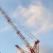RTの画像