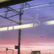 Kellyの画像