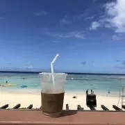 タミーの画像