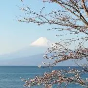 あつの画像