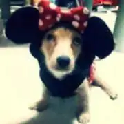 さぴ