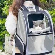 うぇーいの画像