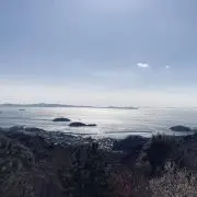37kの画像
