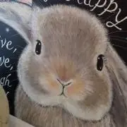 くるみあんぱんの画像