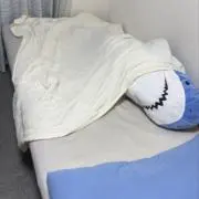 こんちゃんの画像