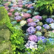 ハッピーザッキーの画像