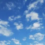 あずき☆の画像