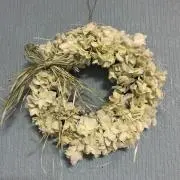 VANILAの画像