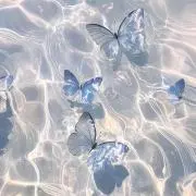 おもちの画像