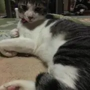 パク