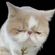 からあげの画像