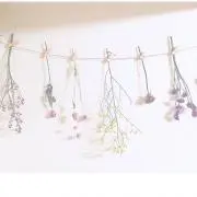 muraの画像