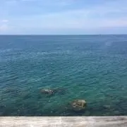 海の画像
