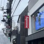 みーの画像