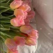 miの画像