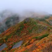 vovoの画像