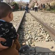 フィン